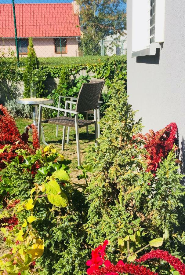 Apartman U Zamecke Dyje Леднице Экстерьер фото