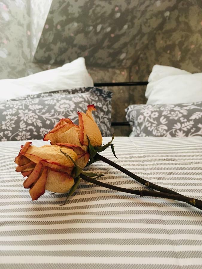 Apartman U Zamecke Dyje Леднице Экстерьер фото